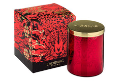 Africa Leopard Candle 350 gr