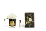 Cote Noire Perfumed Rose - Ivory White Diffuser